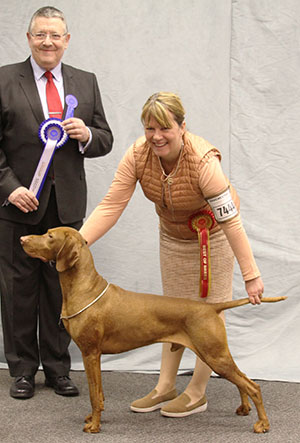 Mrs D Hardy & Mrs P Hallam Sh Ch Bitcon Sirocco At Tokaji JW (ai) with group judge Mr T Mather