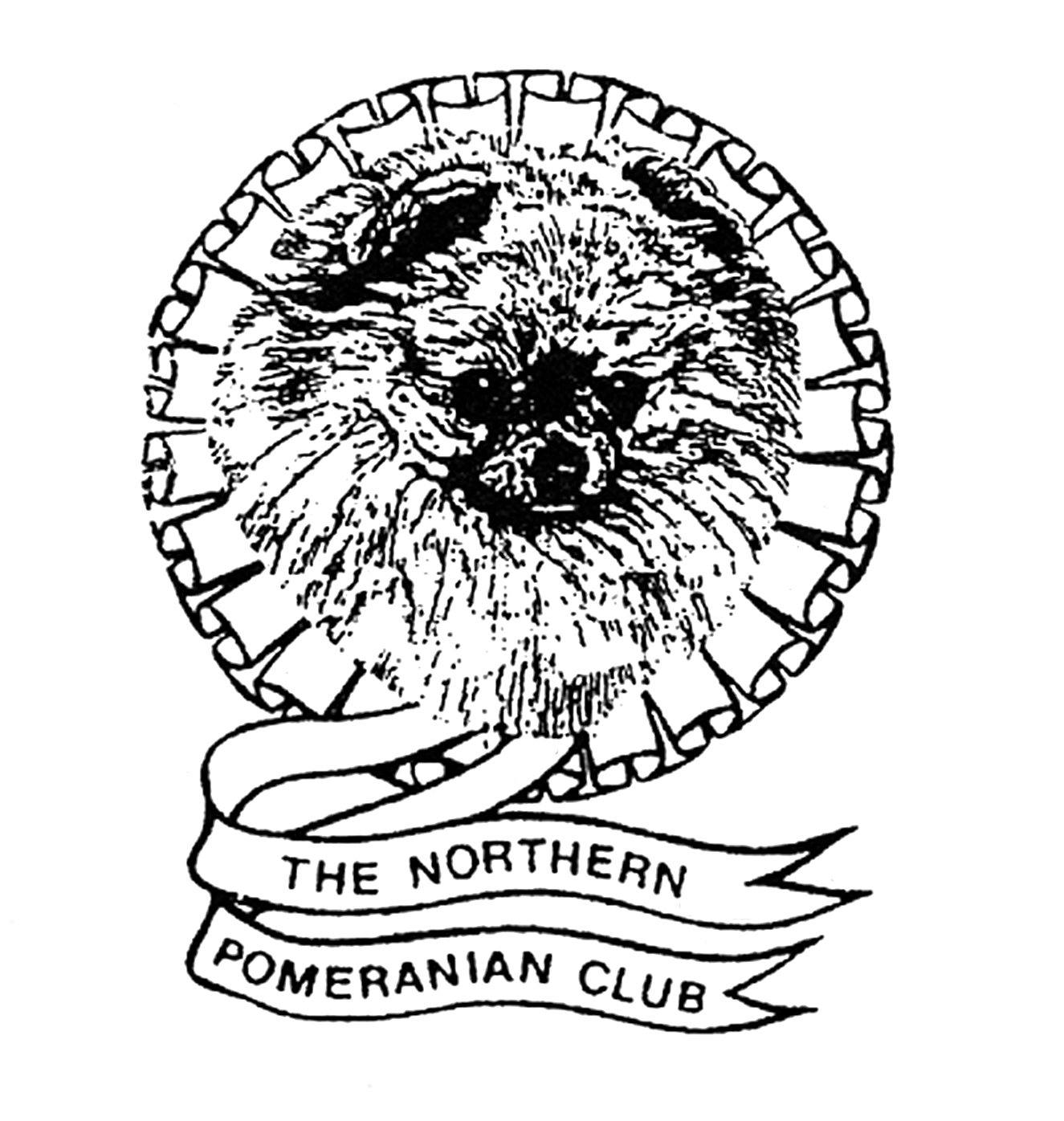 THE NORTHERN POMERANIAN CLUB - Open