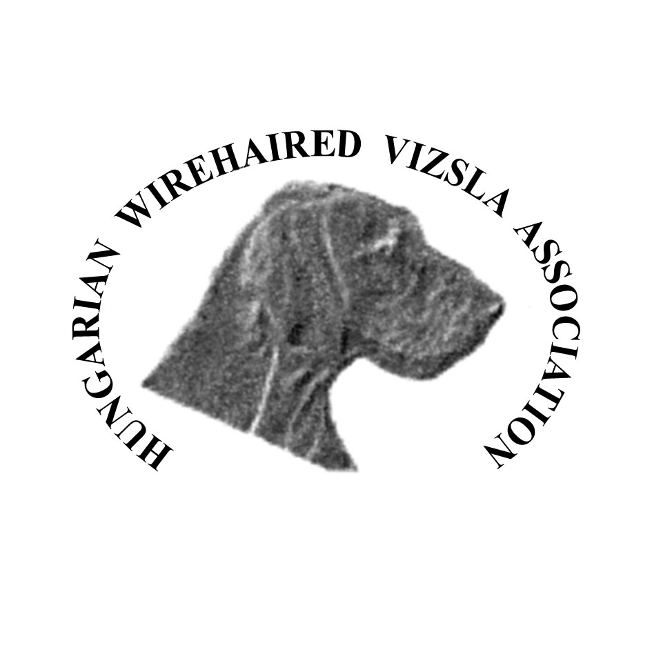 HWVA Logo (Created By Us)