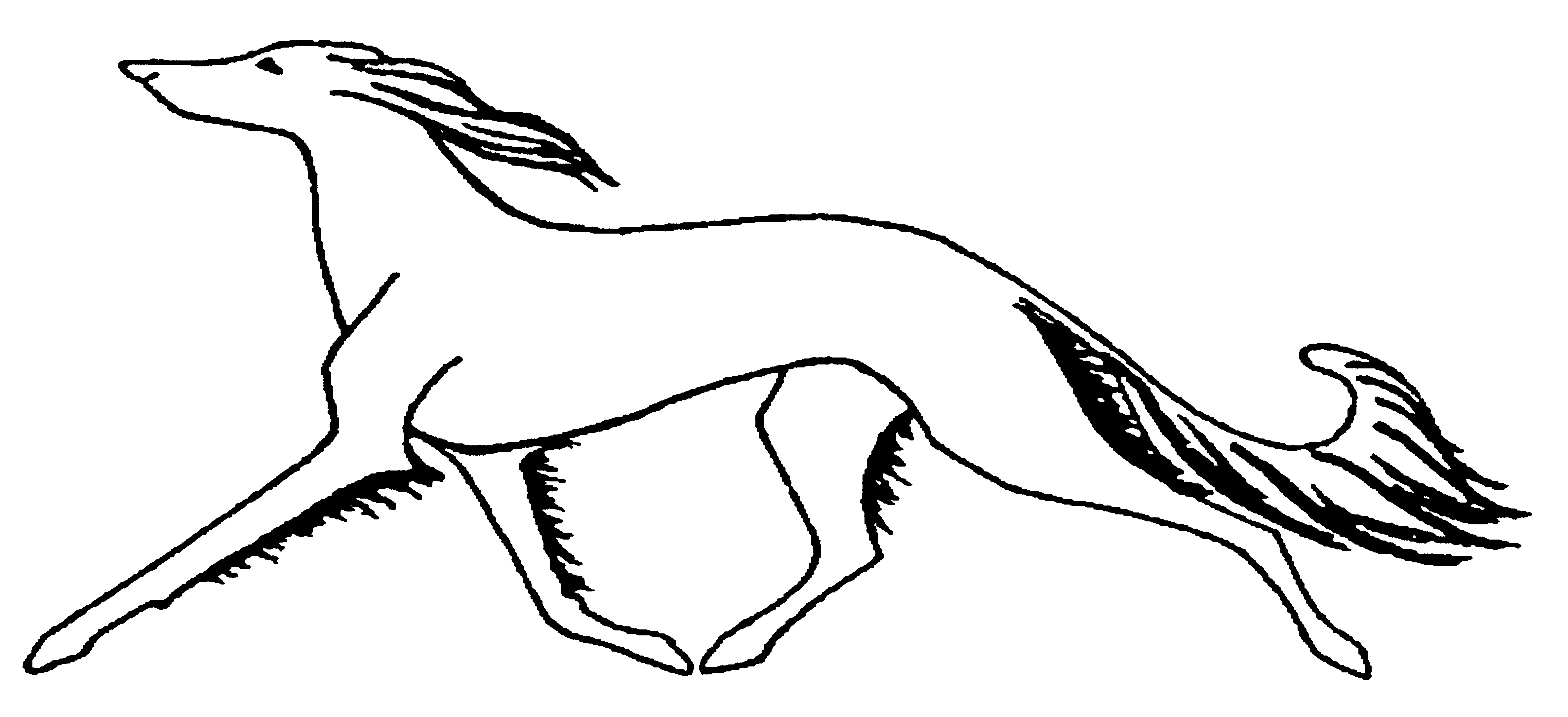 Saluki Logo