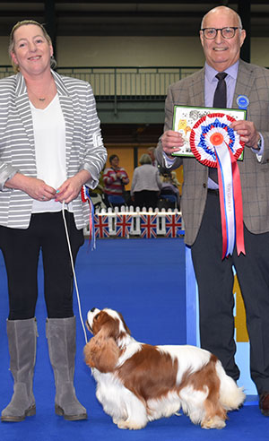 UNITED KINGDOM TOYDOG SOCIETY - Ch | Higham Press